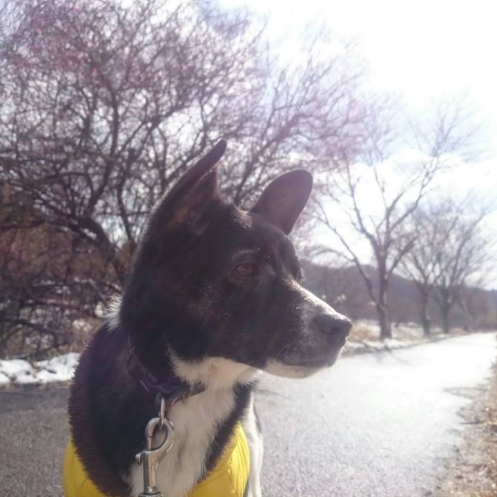 537534dc cd21 4283 9ddd 6d33b7efb2c2