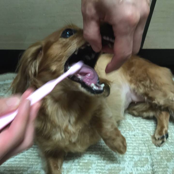 53756f25 cd0e 4160 ae74 344ec9b99f5a