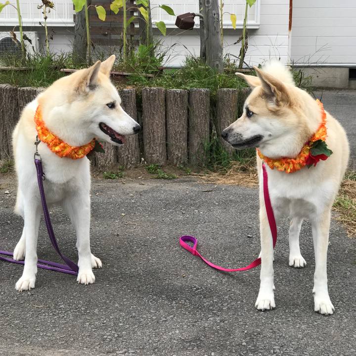 5375efb9 0ae8 476f 8574 42d1e3fc7c83