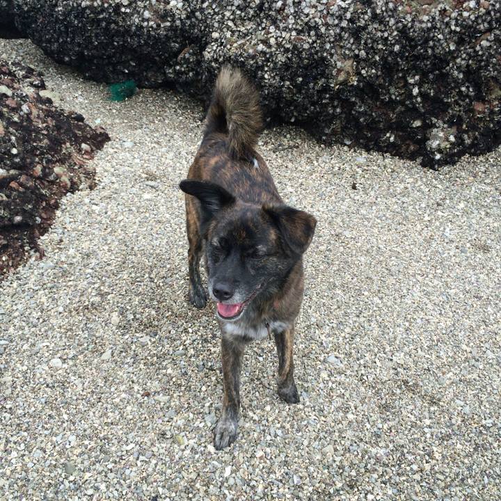 5375f7db 01dd 465c 81f8 ef37b062a2b8