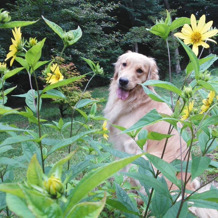 537775ac aea4 4b17 b2e1 9ef52a57ed1a