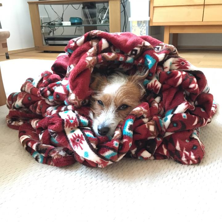 537793e7 b61c 4f67 8e7a d0967963dd7e