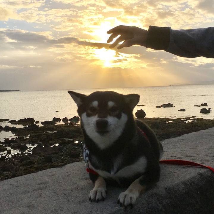 5377bdbb 5682 4547 b2de 3c485d820997