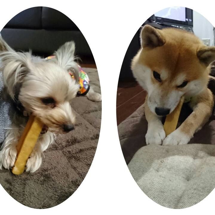 5377d263 ac31 4c73 a0d1 18957b544deb