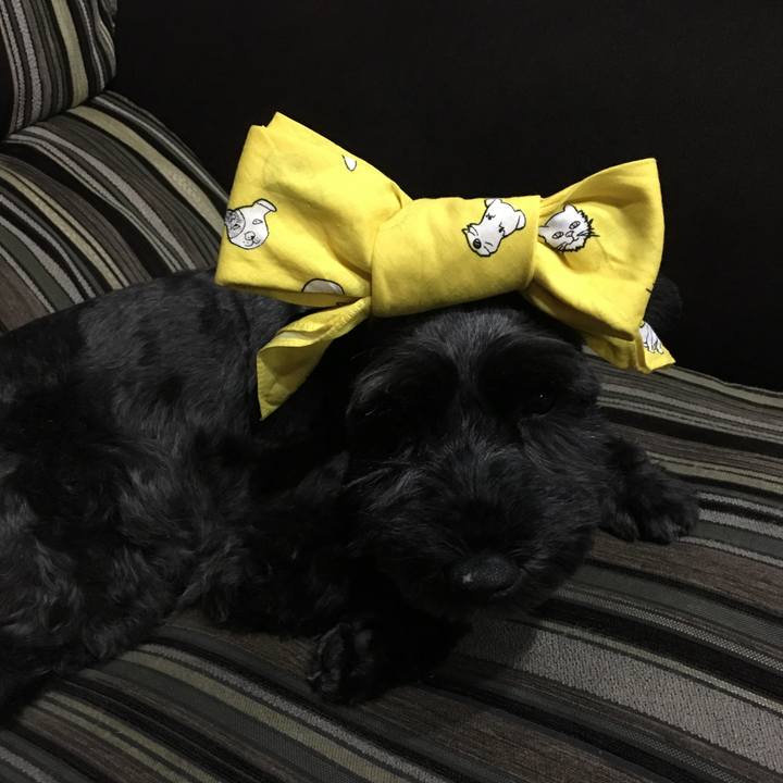 537811d0 2430 44f0 9ba7 015559f28d1c