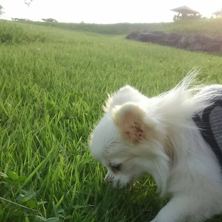 537862a3 c3cf 4089 ad5e 69b8b2696086