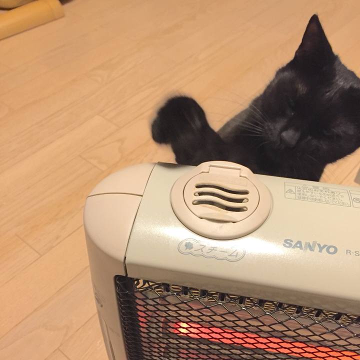 5379851e 52e8 4564 a7fd 6f6208c6c1b4