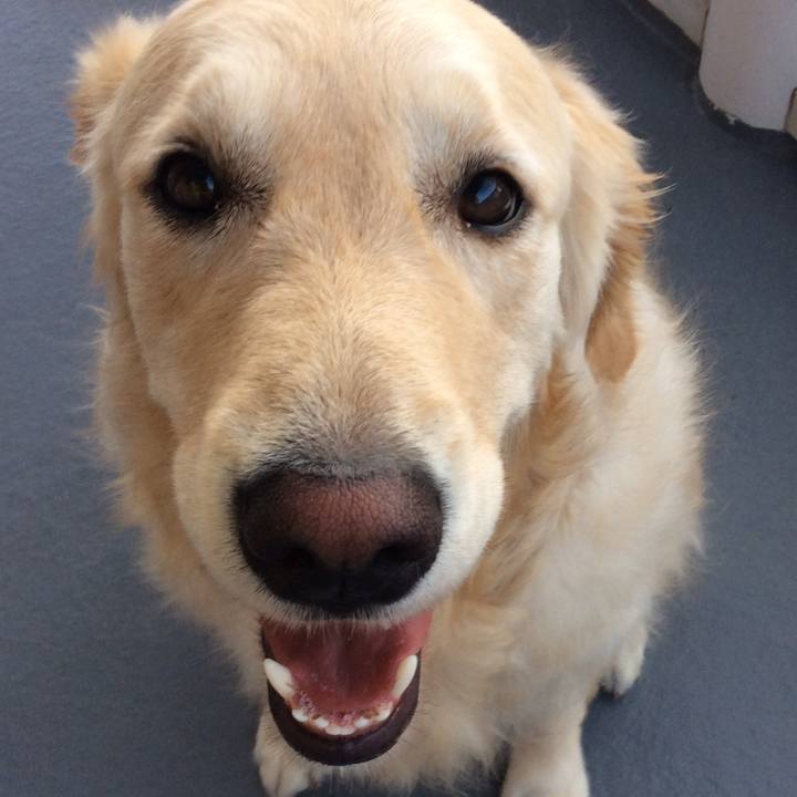 537a4c60 0ec5 4027 9ac9 fd24751b4f0f