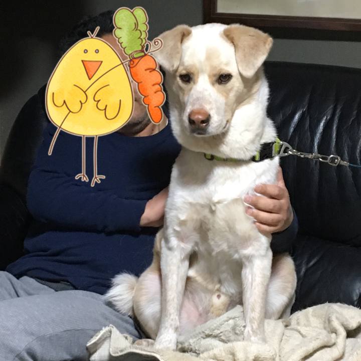 537af9ff 2382 4f92 b508 b51740fce47f