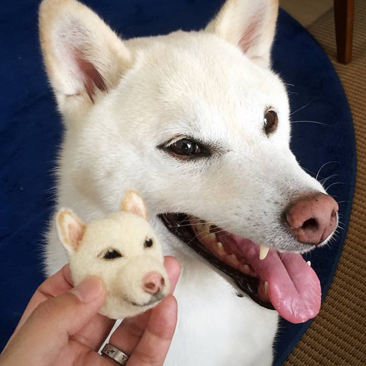 537b7981 ed6d 4c83 9d71 3b850879f1a6