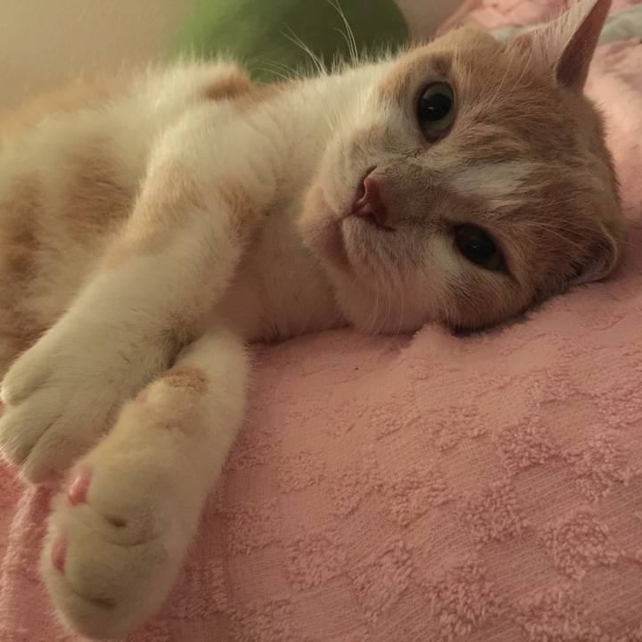 537b9a24 e3d7 4d81 a338 74336d252e7d