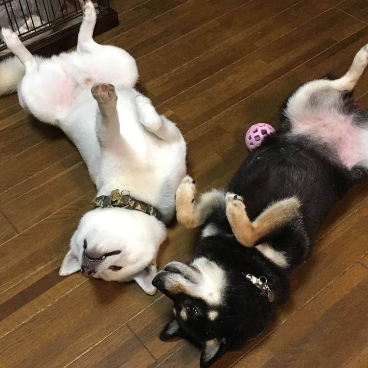 537c3456 6869 4f96 bd71 a1af22027524