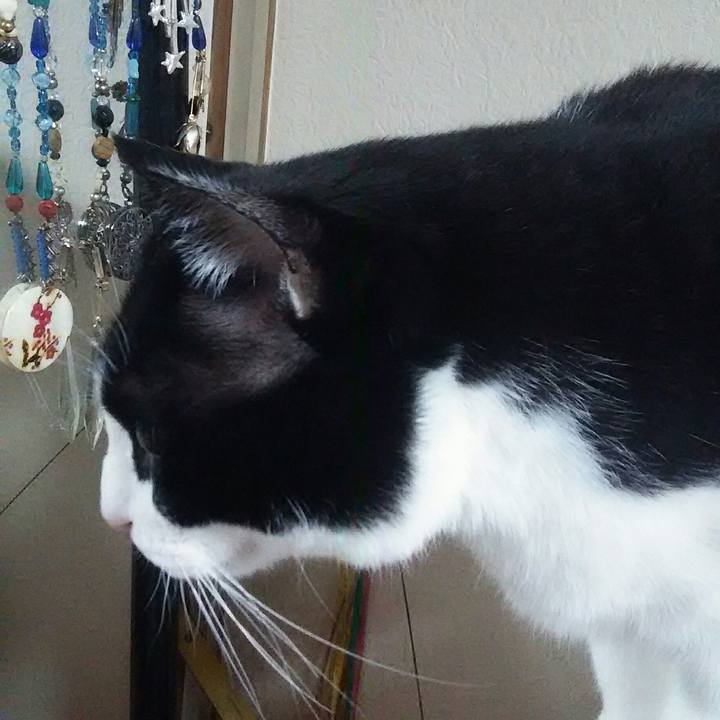 537c6395 faee 46bf 8aef 1b840e7983fa