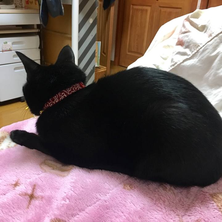 537c746c f1b0 438b acc6 0c3900768e86