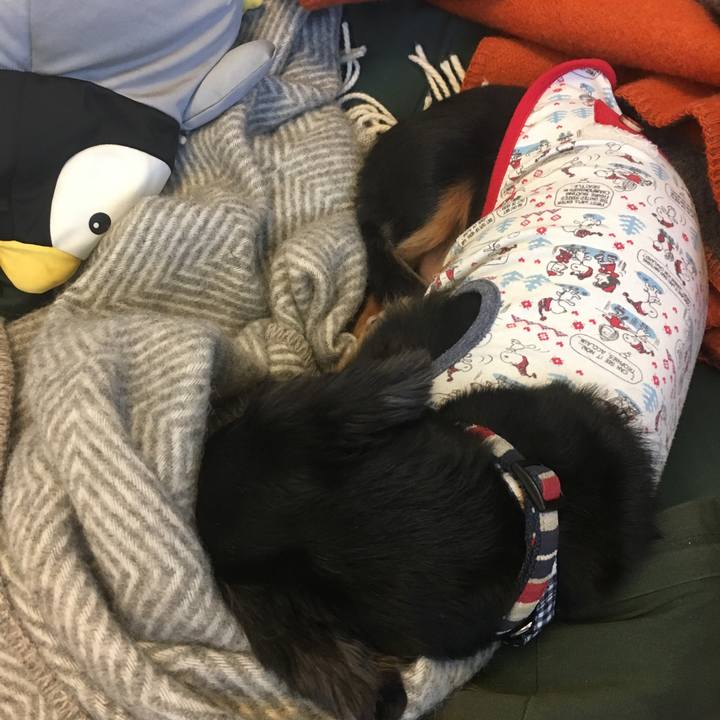 537c92f0 792d 49de a9dc 603be21843cb