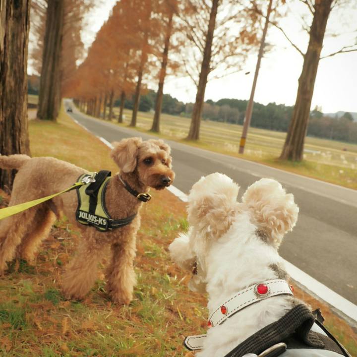 537cb455 79d3 4430 9635 4a1b1b055cd6