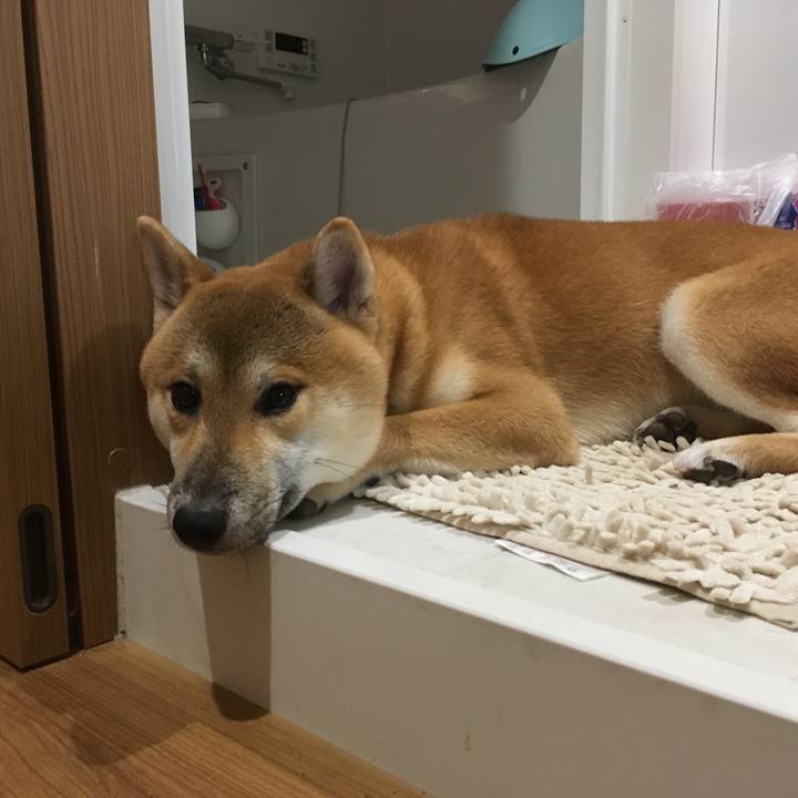 537cf195 c7cf 4428 93d7 65d91008f4d3