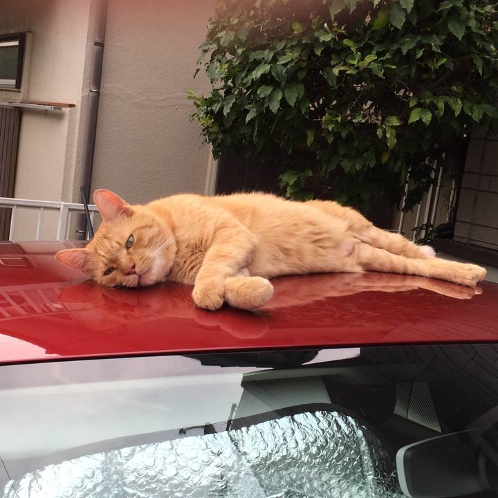 537d4688 becb 4063 8aa0 032ece3dc7a0