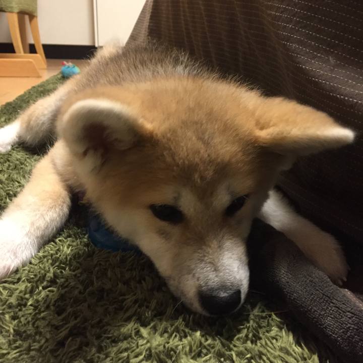 537def2c bd90 4ffe aebb 099f5b1bb9bc