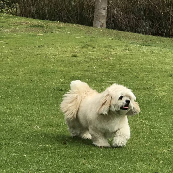 537e1217 32b9 47dc 8391 d36faf807438