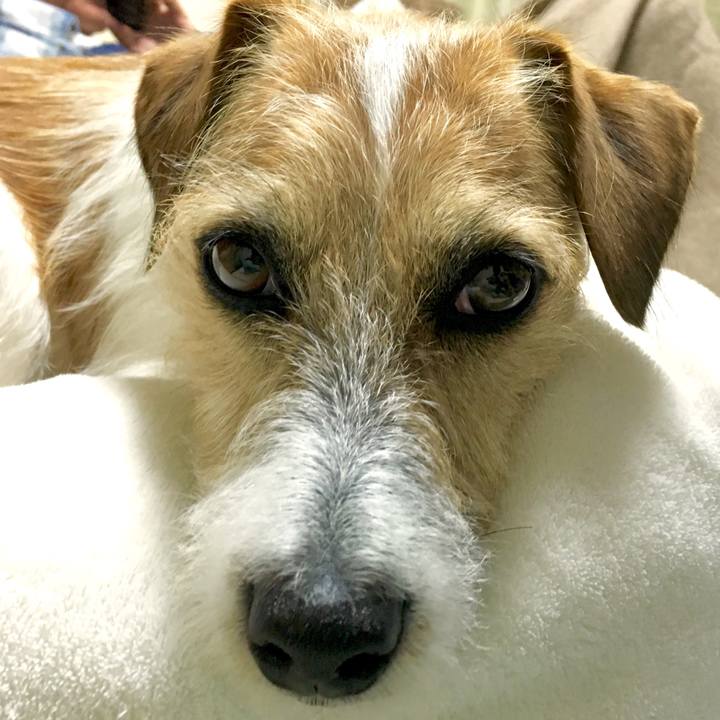 537e9e53 f876 43d2 9f30 77089994d4e5