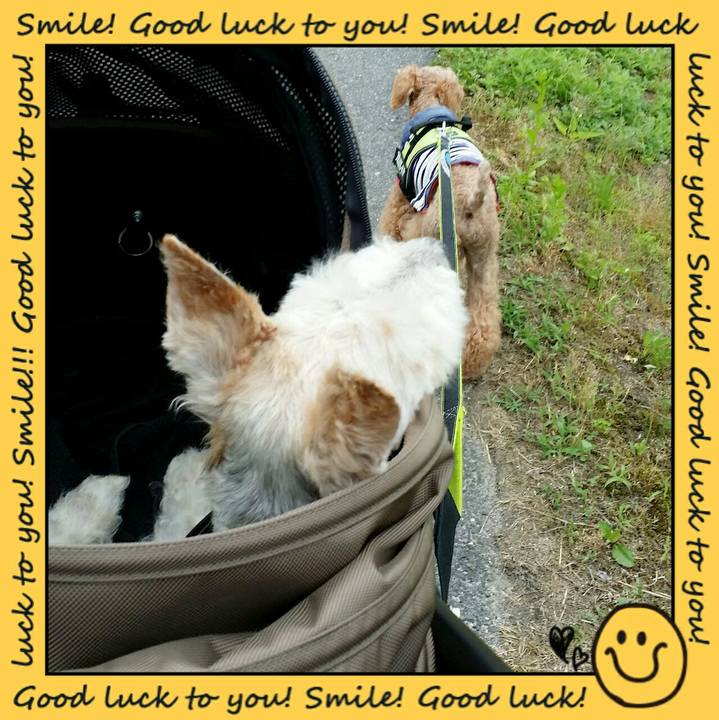 537eaab2 b864 40b5 bc24 8dac73379495