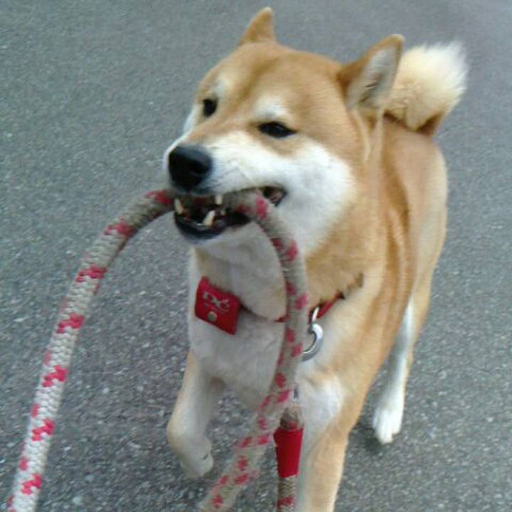 537f981a da8b 479e b6ba b80b022a352e