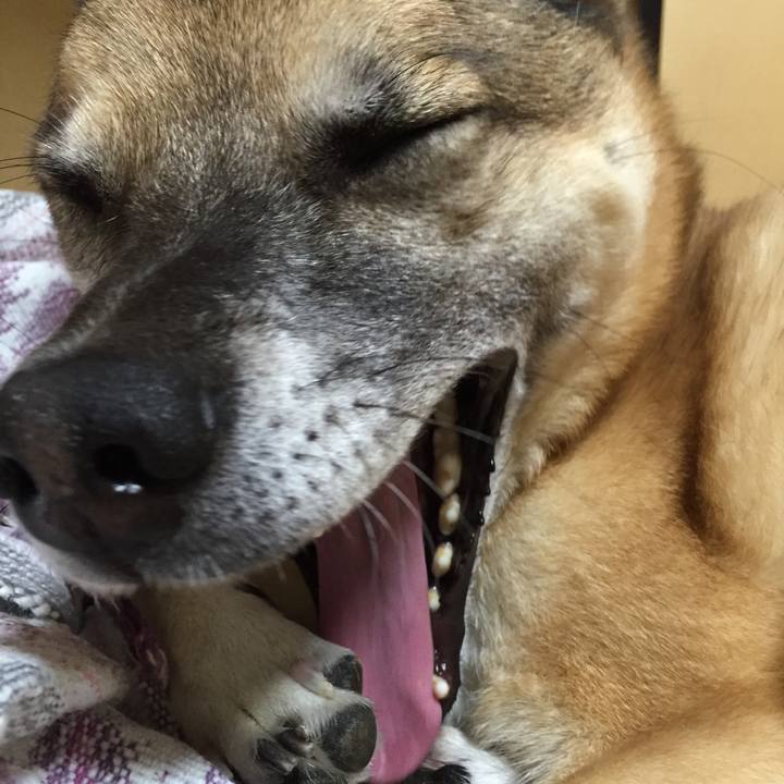 537f9d92 b531 48b0 b207 3589abe04550