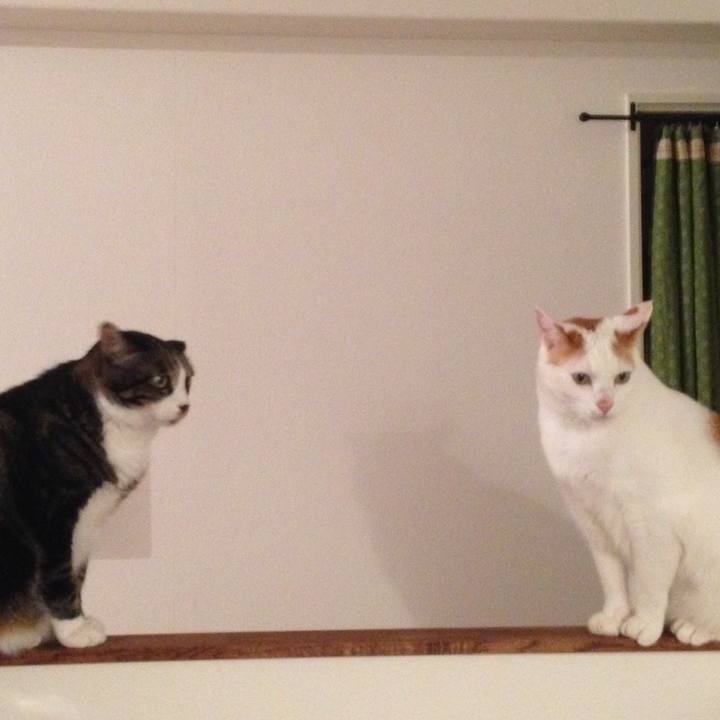 537fee1d aba3 49b9 a65d a1766cfe3c39