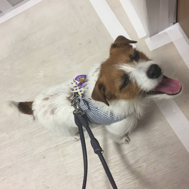 5380642c 2540 4d00 bbf4 173743cbf0ba