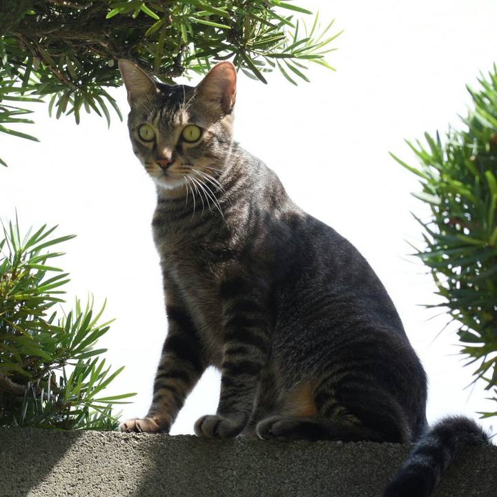 53808cb2 e0af 47ef b971 e2fadabe08f0