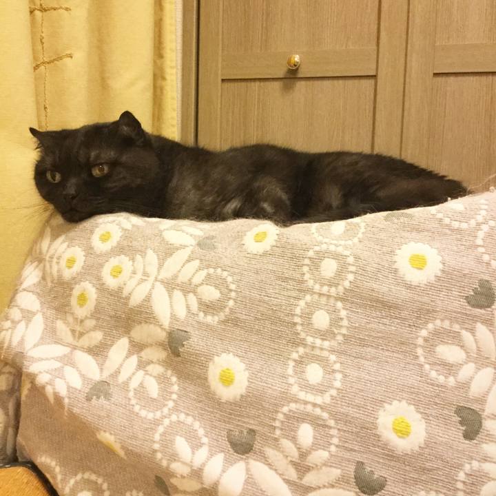 5380f230 8275 4adc b1c1 5fe280dffee5