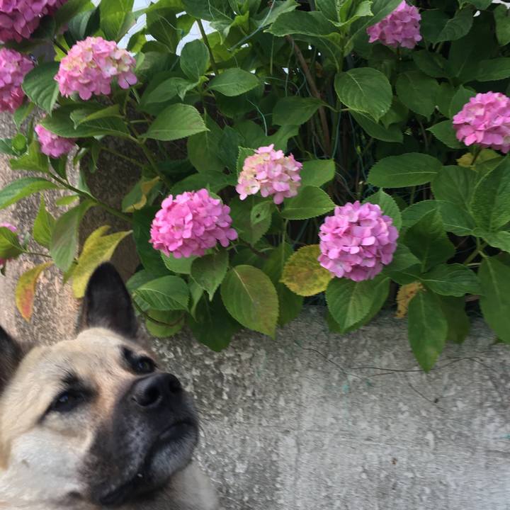 5381511c 4f66 47f6 9921 c1bc3f9fe90b