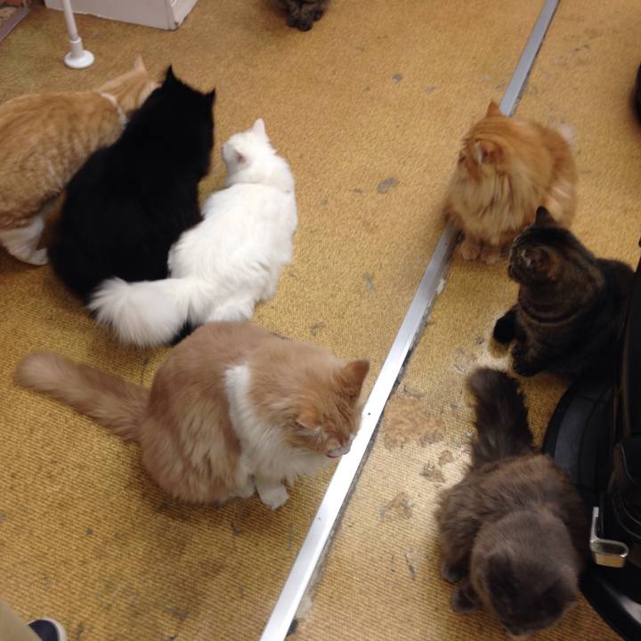 5381ddfe 0538 4e66 8529 e5b19aeb8e29