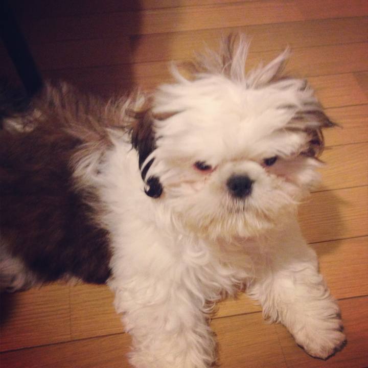 5381e25d acdf 405a 9455 0b62dbdc90cf