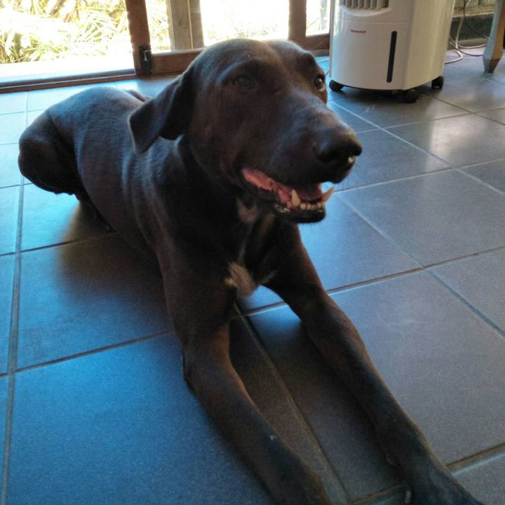 5381e7a1 7651 41a4 a16c 19d3fbaa162b