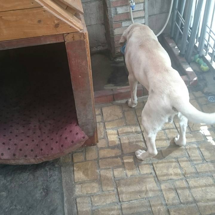 5381fdfd 88a3 4bb6 94d5 f55088659ed1