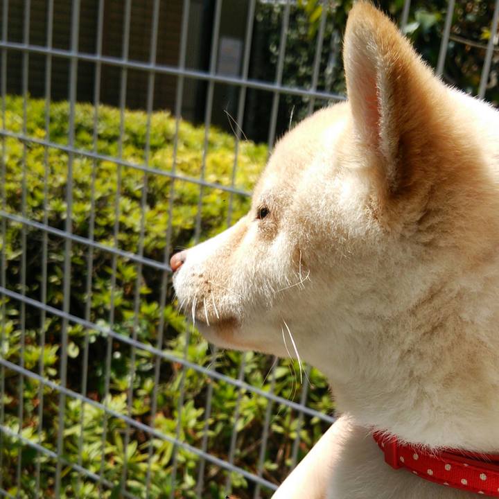 53820c76 3069 44d3 8dc0 1cd651cc0203