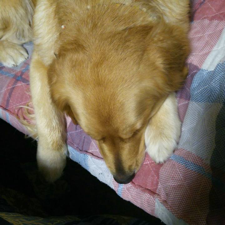 53826d5f b839 4994 a696 bdcbc4570357