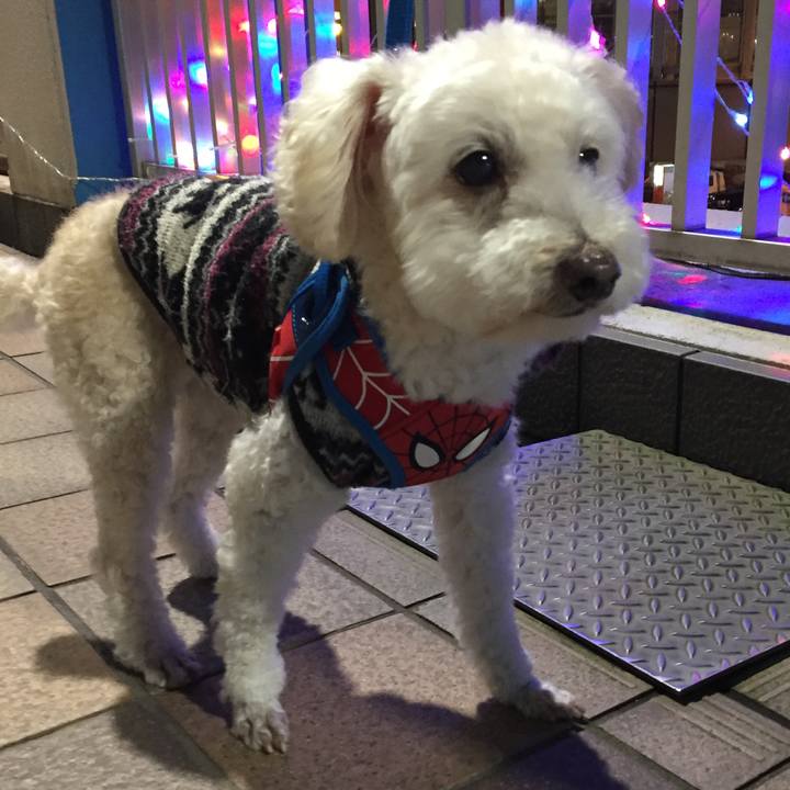 5382c27f 67dc 44b7 a30a 73a9d56624c5