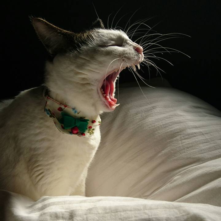 53833e34 a14f 42c2 8bef 7f9ac4b5c082