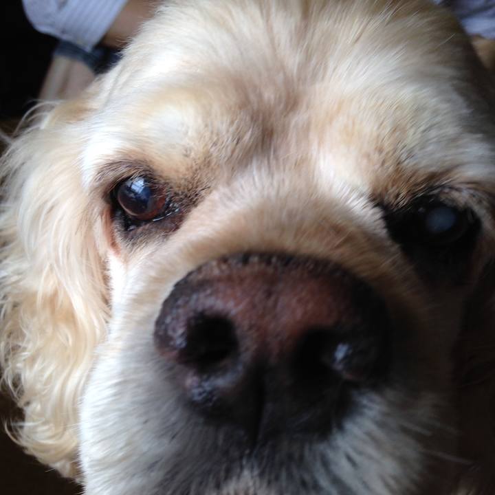 5383a17e fca1 42c8 a40c 08e73b8ea315