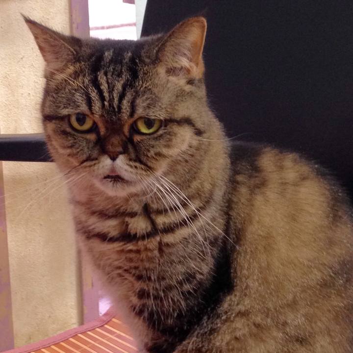 5383b7cf 88d3 47c7 ac94 965256c5cf32