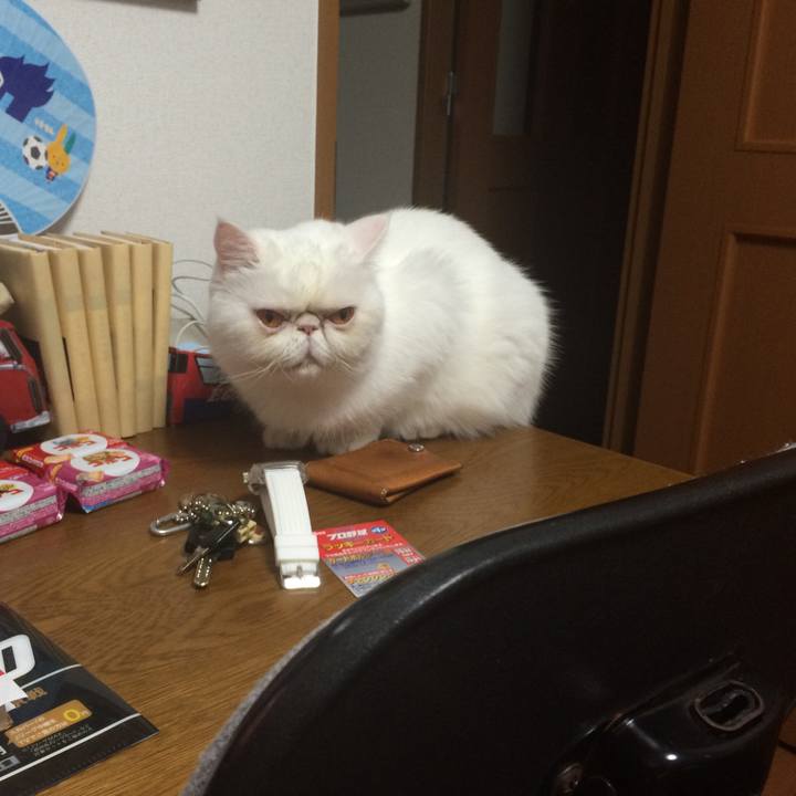 53843d46 f3a7 47cd 9c2f 74f43d7ff2ba