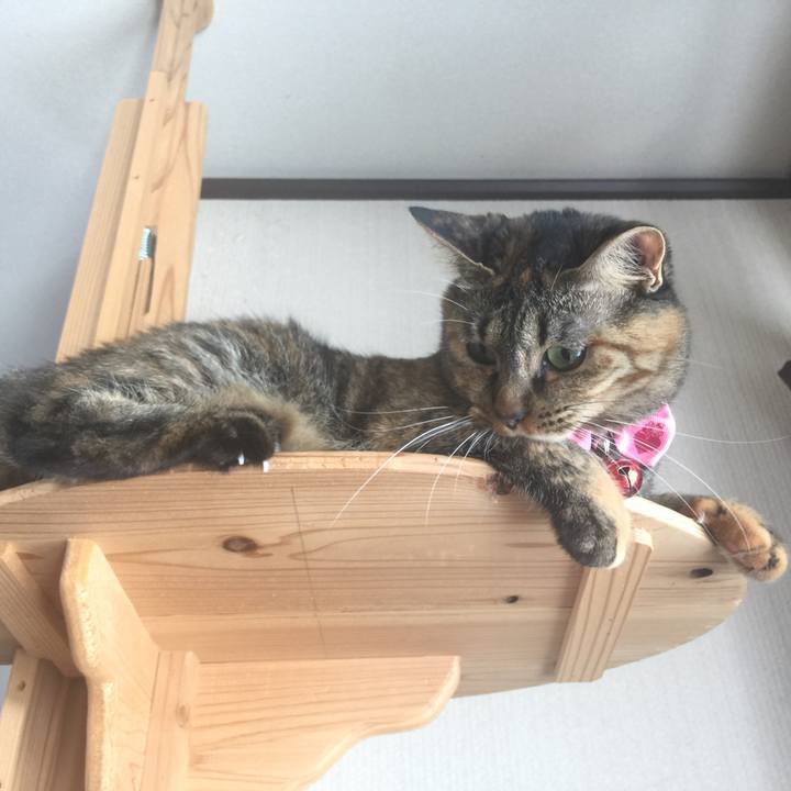 53844199 eaaa 48b3 bfe4 1dfe1390592f