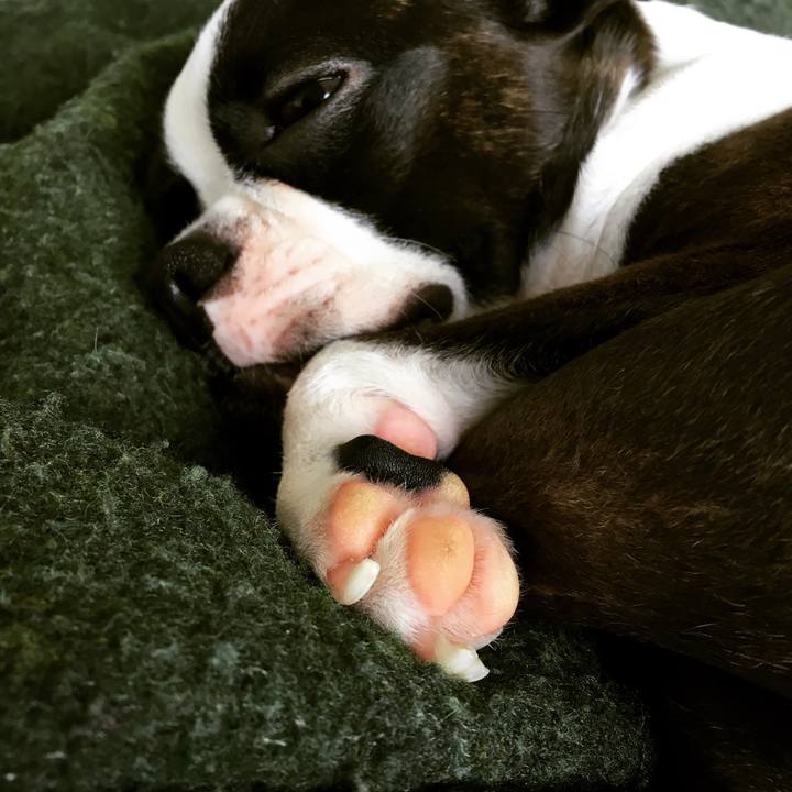 538466ee 08b2 4b01 b05f 90ee41f301b6