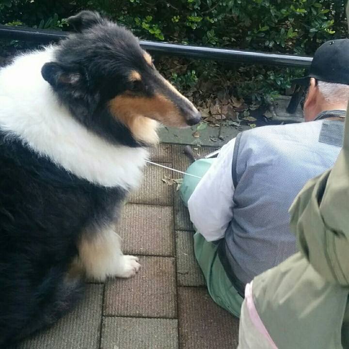 53851fb9 8595 409d 9c5b 40e1bc4fa3db