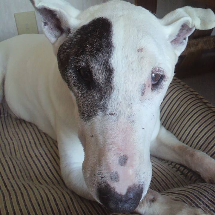 538528e8 4da2 4d8c b6e6 54e849a40103