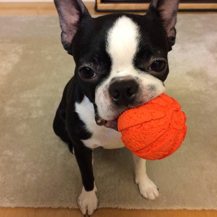 53853b62 aefa 4912 b41e 6fc67f458536