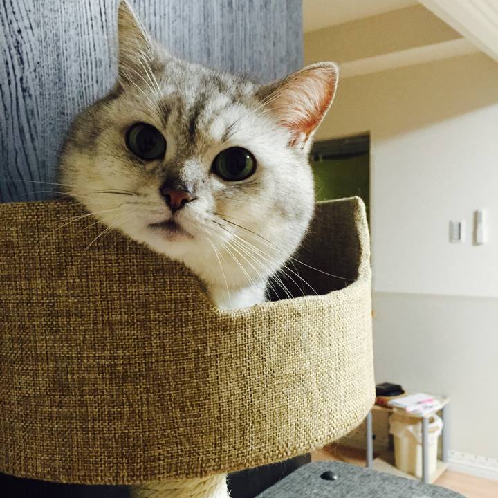 5385a8c6 b887 4f5a a74f 67677225c05c